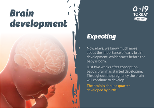 Brain Development Expecting.PNG